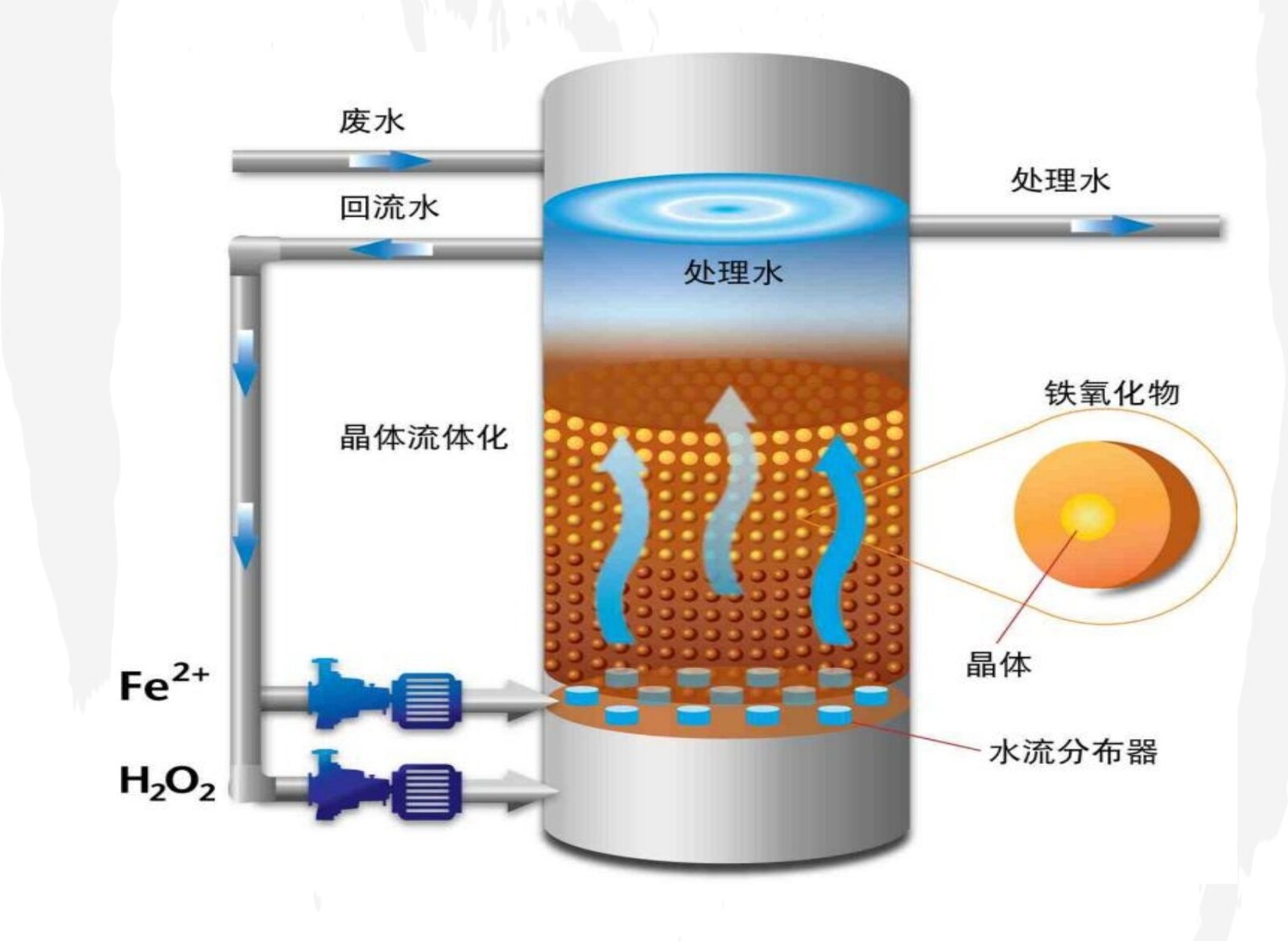 流化床芬顿反应器原理示意,废水与回流水进入塔体,底部经水流分布器投加 Fe²⁺ 与 H₂O₂,中部为晶体流化床,担体表面生成铁氧化物